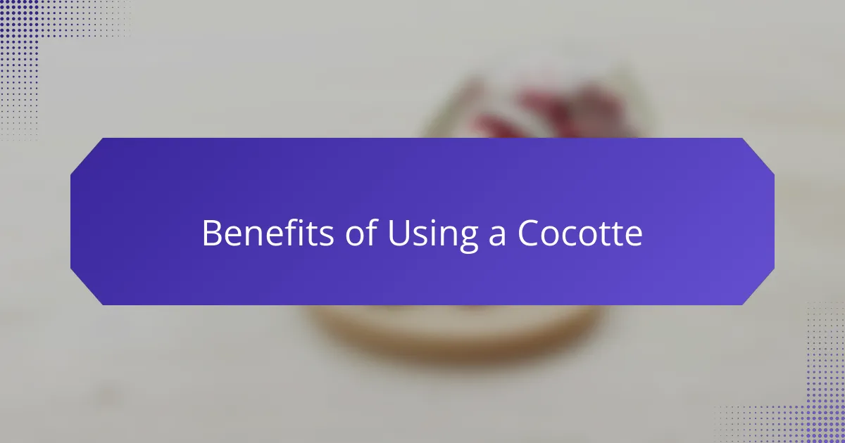 Benefits of Using a Cocotte