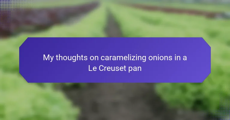 My thoughts on caramelizing onions in a Le Creuset pan