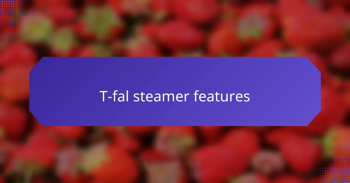 T-fal steamer features